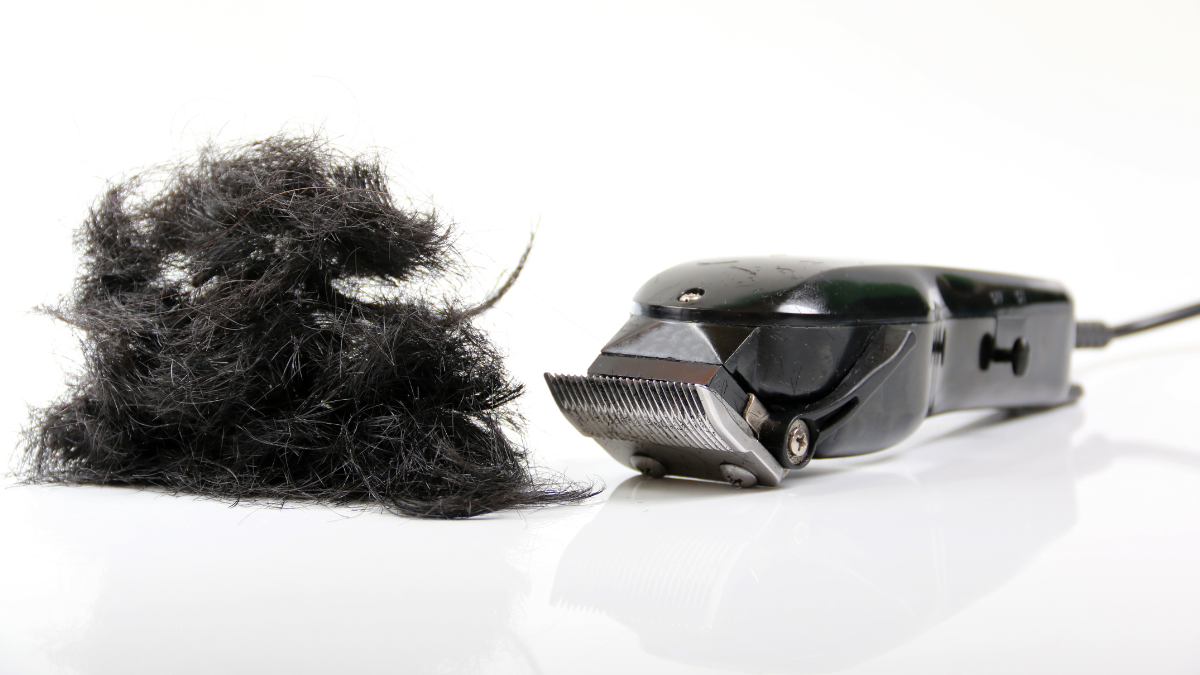 Professioneller schwarzer Haarschneider auf weißer Oberfläche mit getrimmtem schwarzem Haar – Premium-Friseurschneider für präzise Haarschnitte.